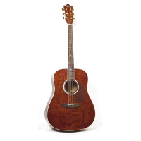 Купить гитару акустическую Adams-4126