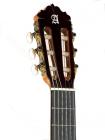 Купить Гитара классическая испанская ALHAMBRA 6P в Москве
